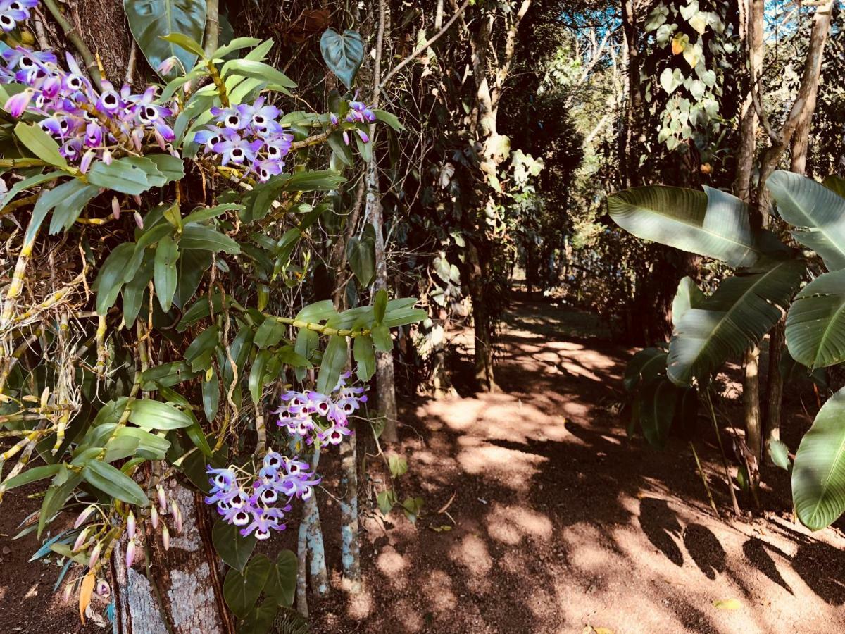 Chacara Quinta Dos Esquilos Villa Cotia  Luaran gambar